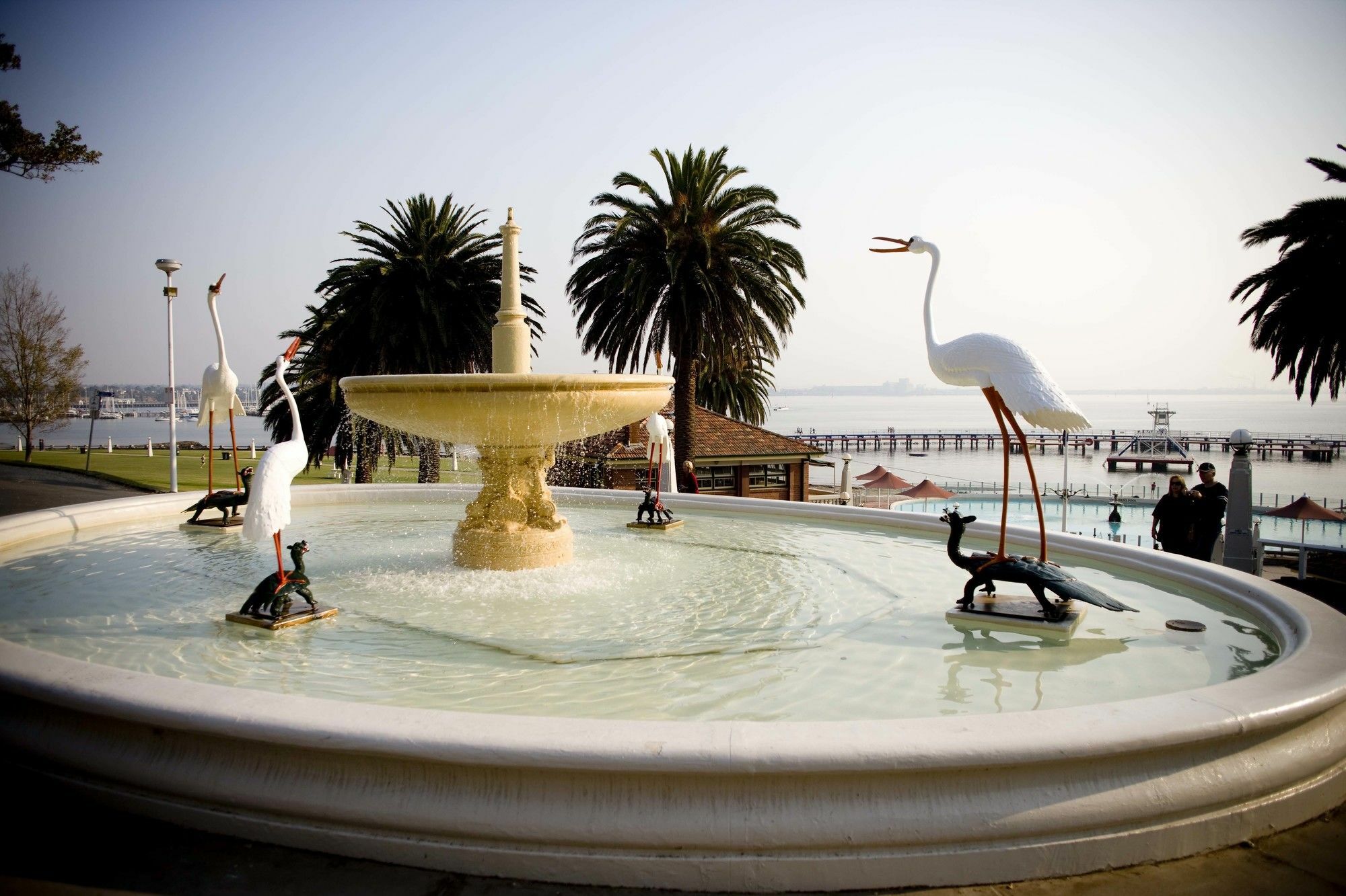 Rydges Geelong Ξενοδοχείο Εξωτερικό φωτογραφία